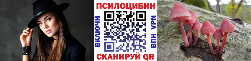 купить наркотики сайты  Наволоки  Галлюциногенные грибы прущие грибы 